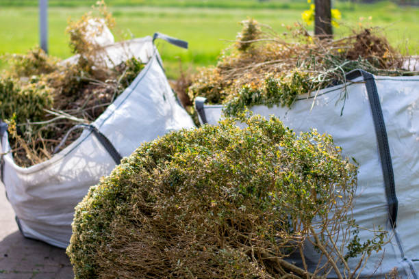Best Residential Junk Removal  in Peach Springs, AZ