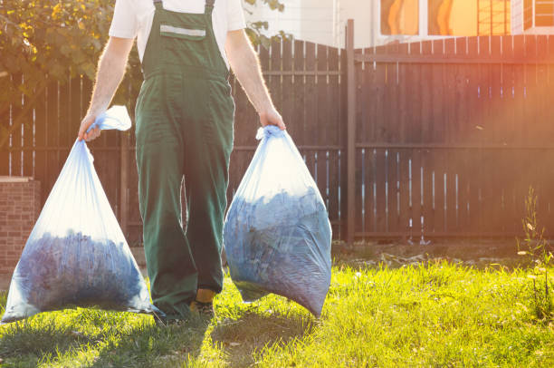 Yard Cleanup Services in Peach Springs, AZ